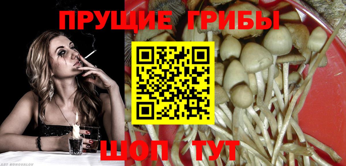 Артёмовский  Галлюциногенные грибы мухоморы  Вход с VPN 